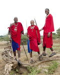 Morning Animal tracking on foot, around the camp with Massai gallery image 1