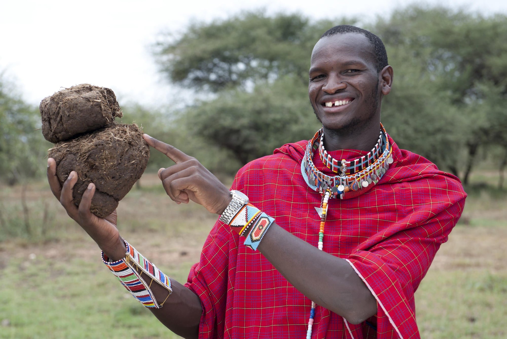 Morning Animal tracking on foot, around the camp with Massai gallery image 7