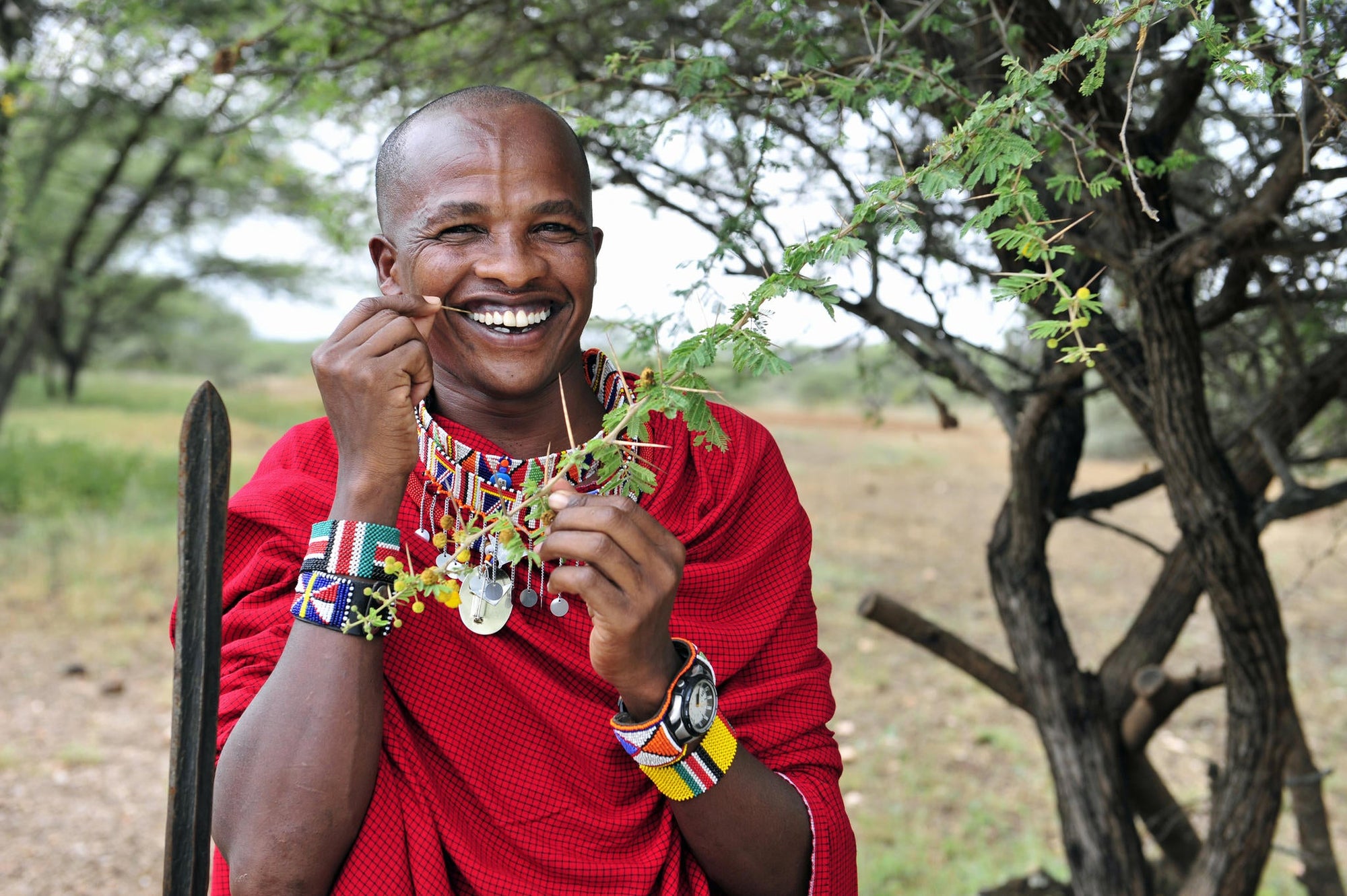 Morning Animal tracking on foot, around the camp with Massai gallery image 5