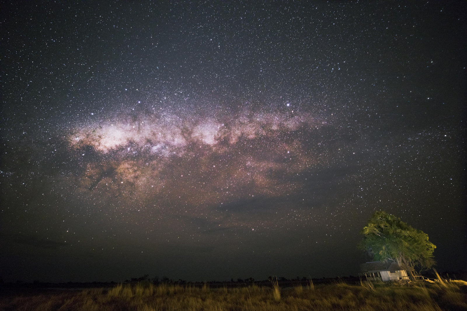 Star Gazing