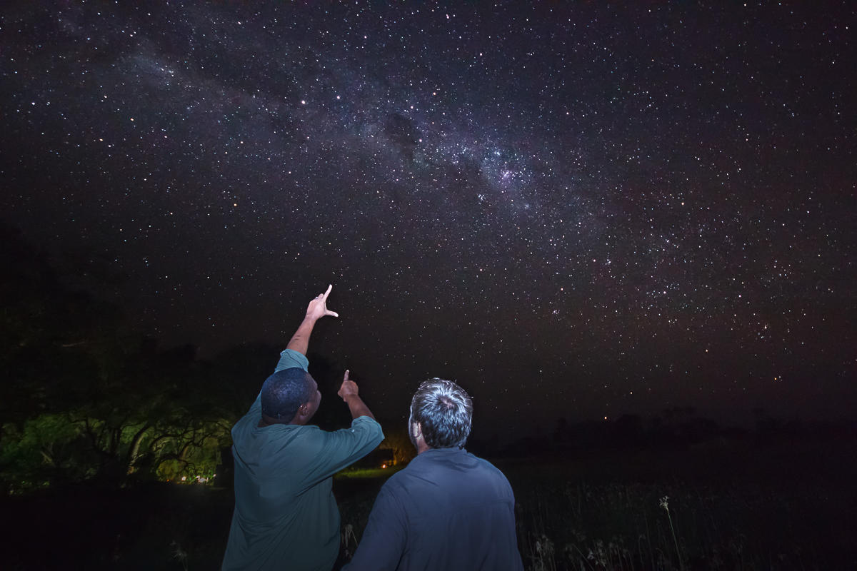 Star Gazing gallery image 2