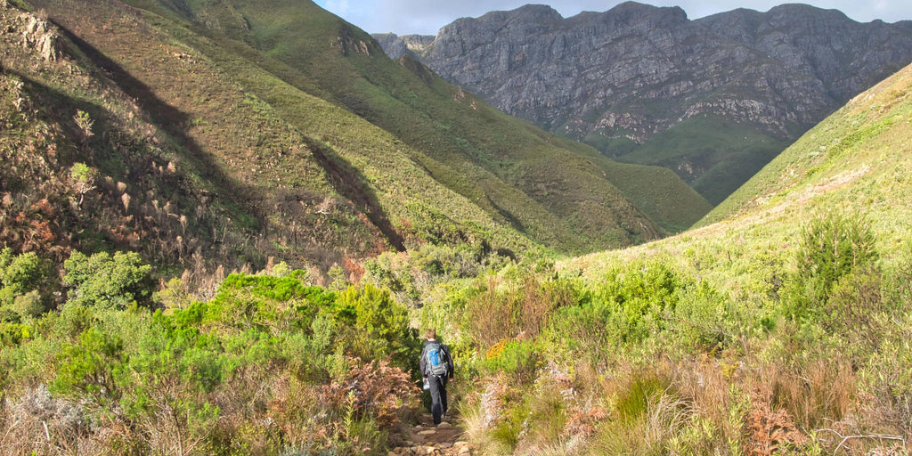 Stellenbosch