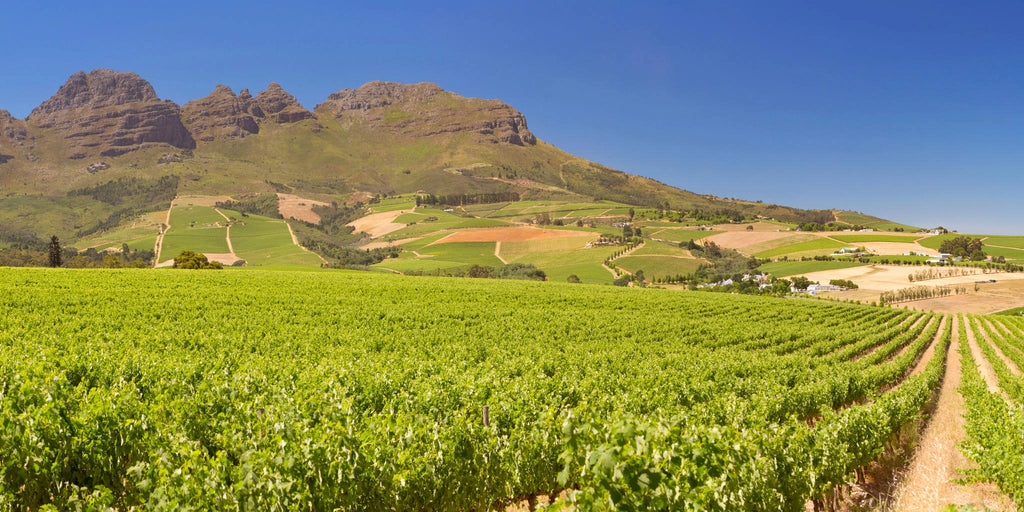 Stellenbosch