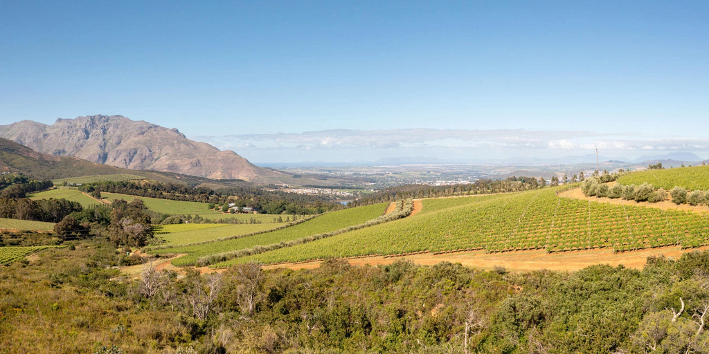 Stellenbosch