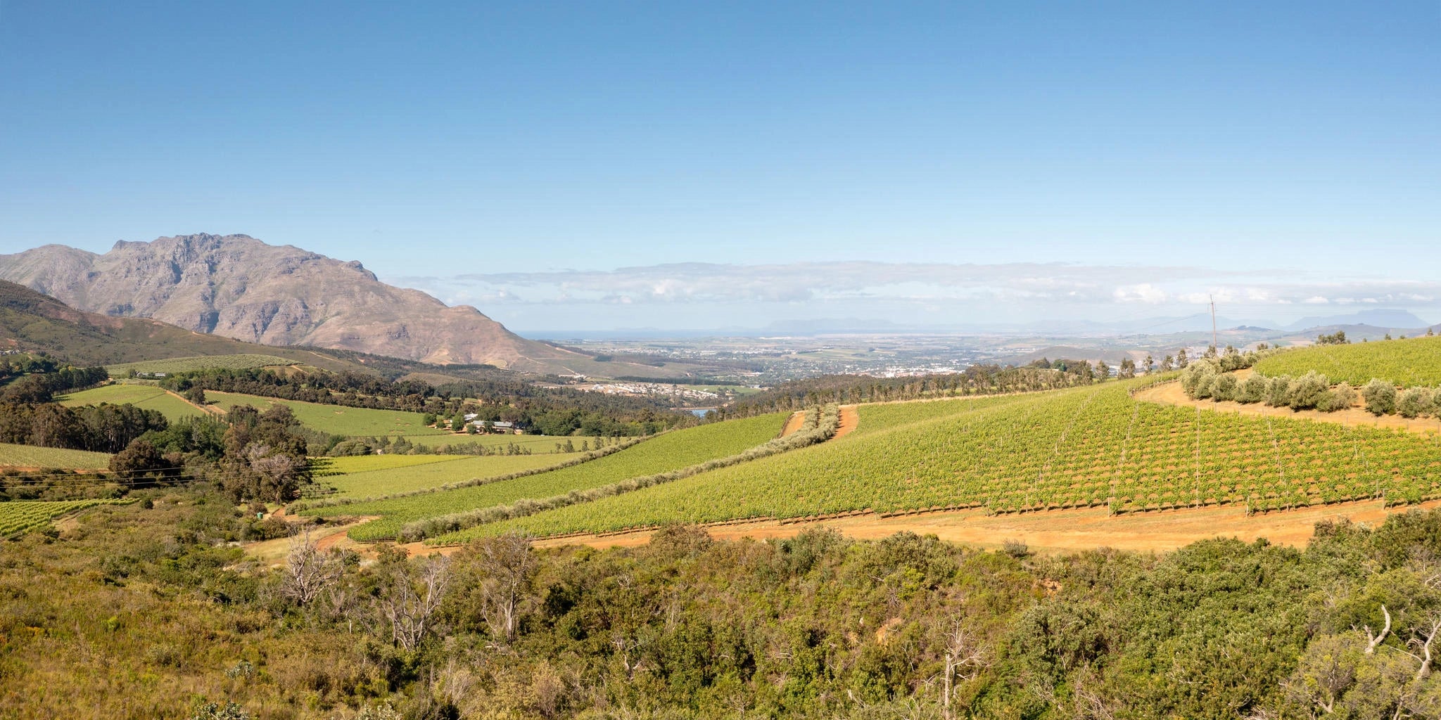 Stellenbosch