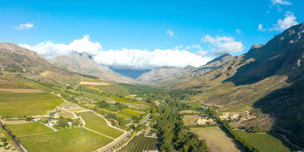 Stellenbosch