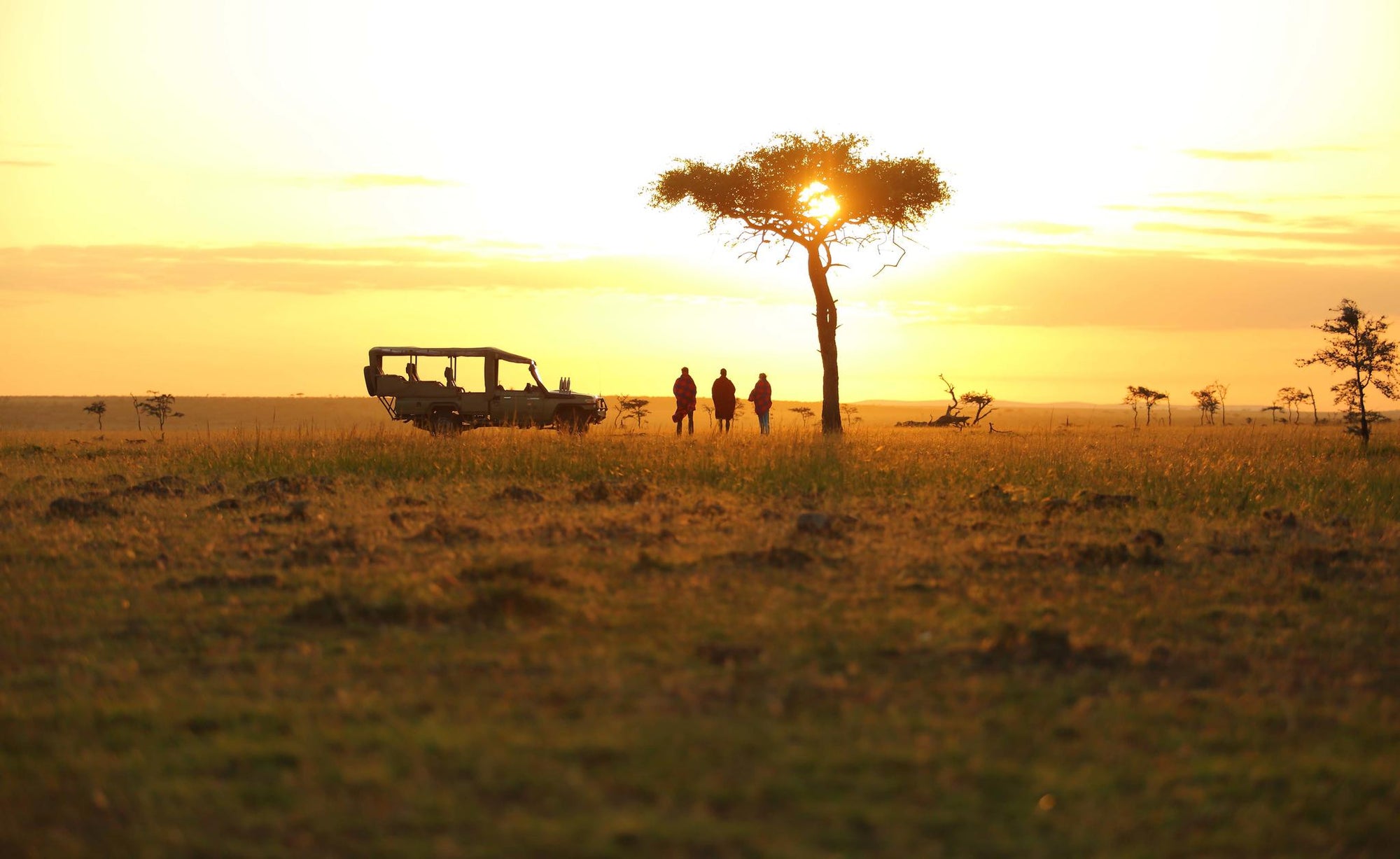 Sunset Sundowner gallery image 2