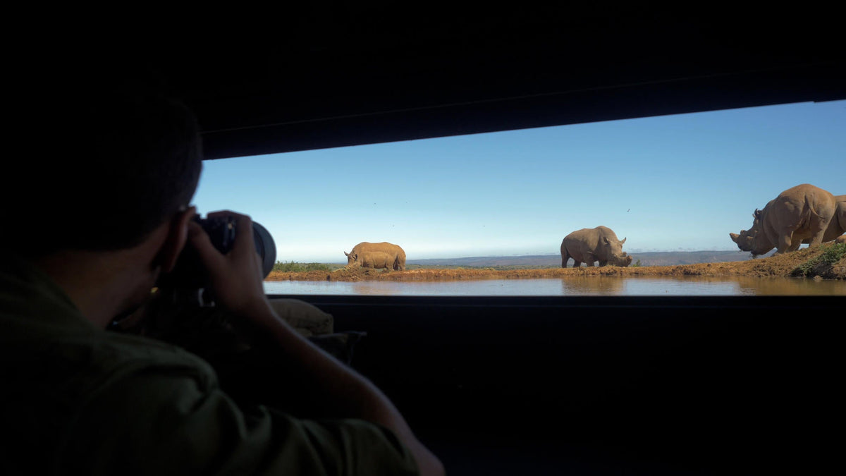 Introducing the Wildlife Photography Haven at Founders Lodge by Mantis.