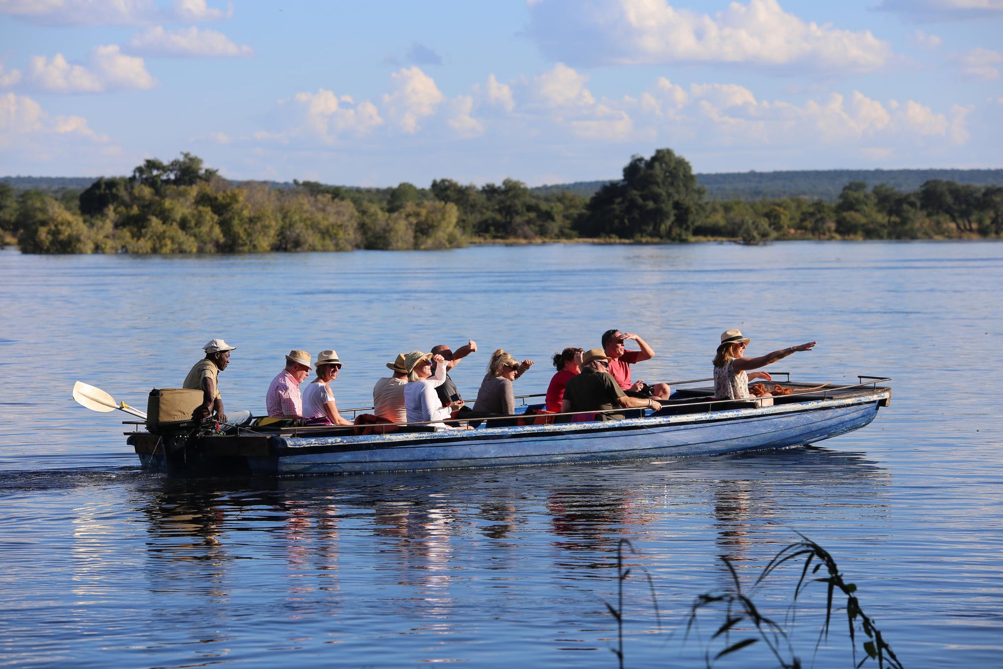 On-site Birding Opportunities (Bush & River) gallery image 7