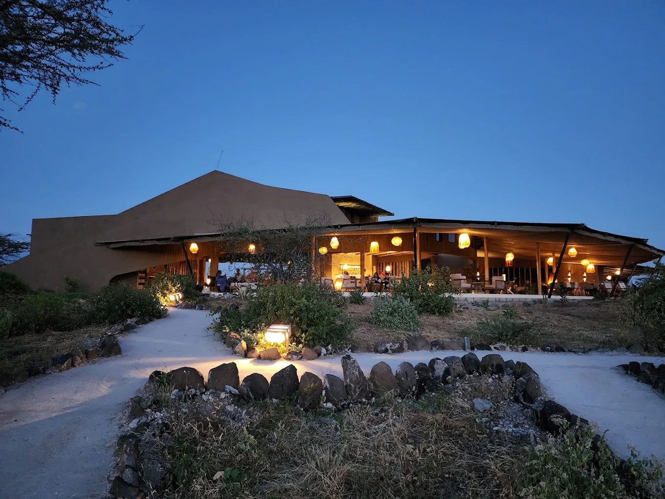 Surana Buffalo Springs