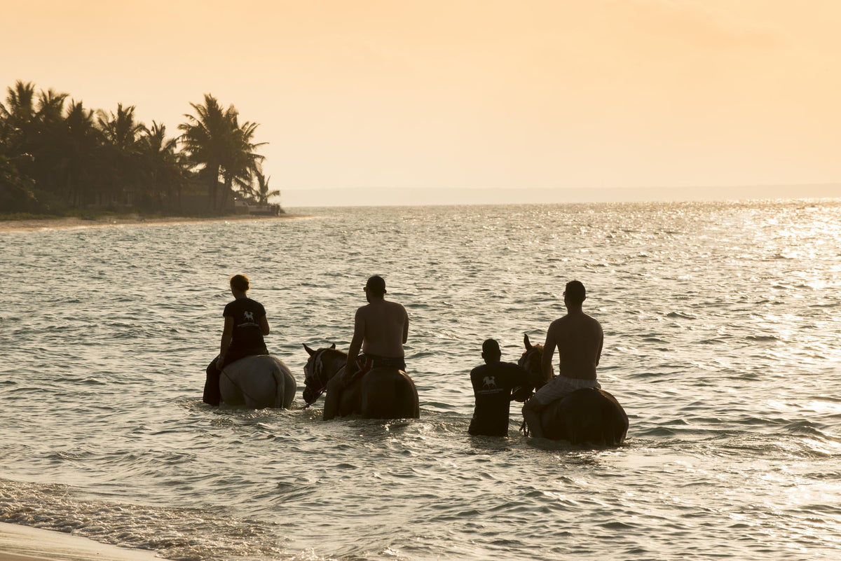 Swimming with Horses (Additional cost)