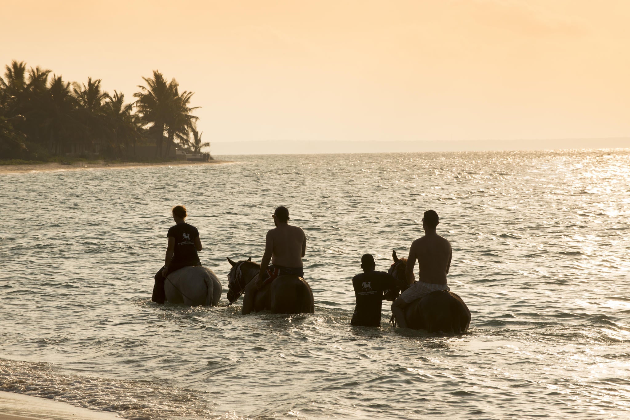Swimming with Horses (Additional cost)