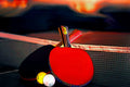 Table Tennis gallery image 1