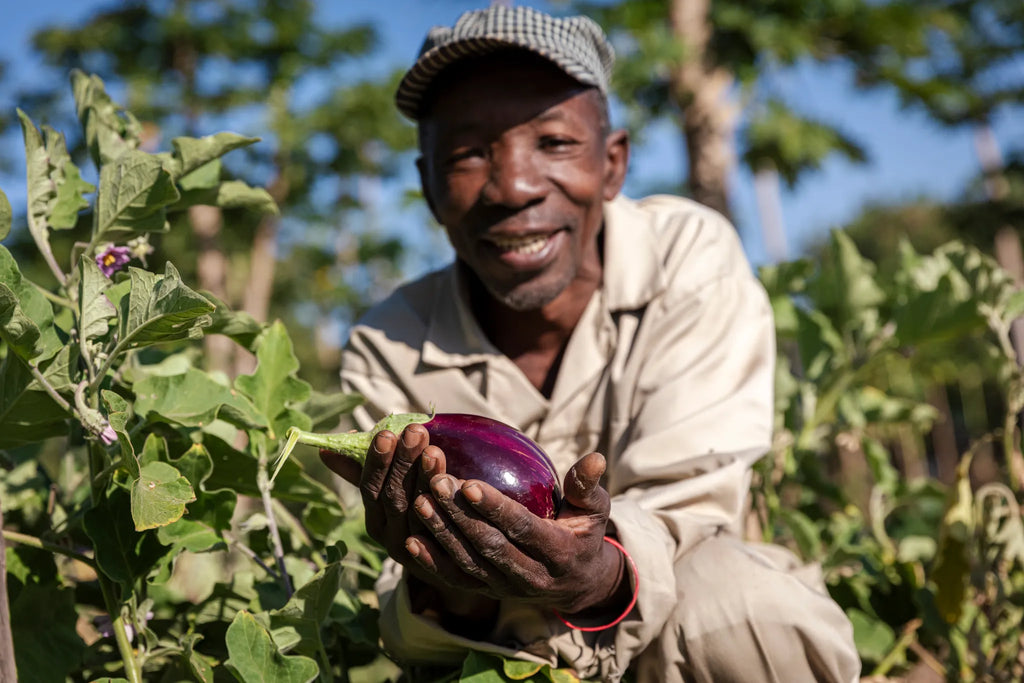 Tafika Camp at Tafika Camp, South Luangwa National Park, Zambia.