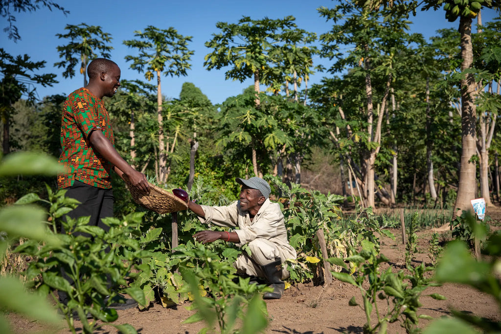 Tafika Camp at Tafika Camp, South Luangwa National Park, Zambia.