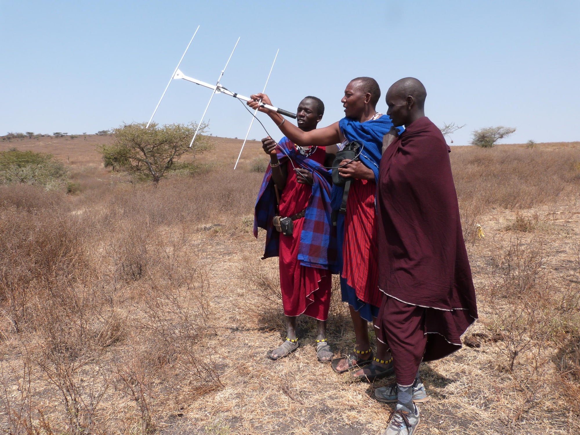 Interact with KopeLion conservation team (Additional Cost) gallery image 3