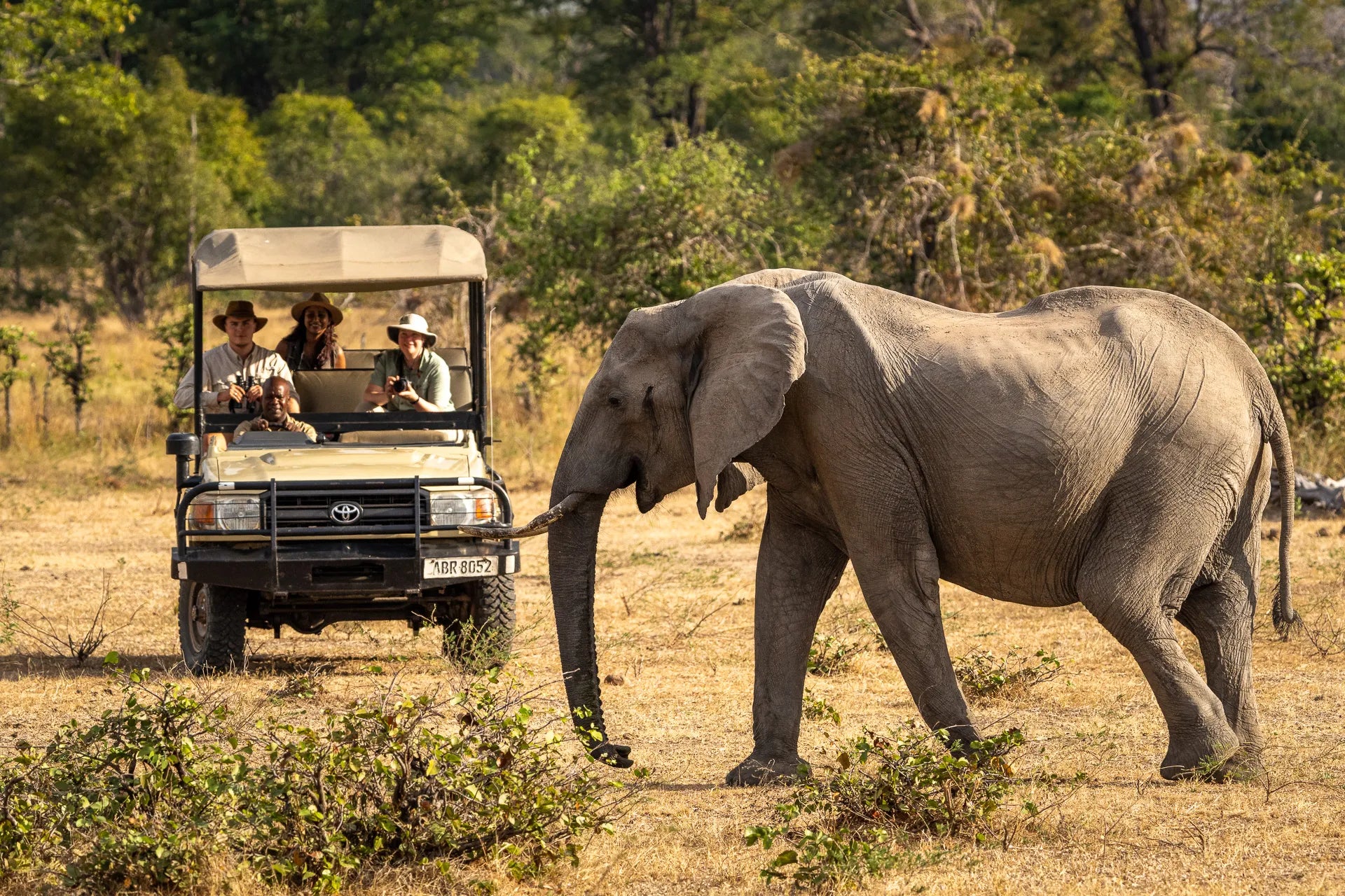 Tena Tena at Tena Tena, South Luangwa National Park, Zambia.