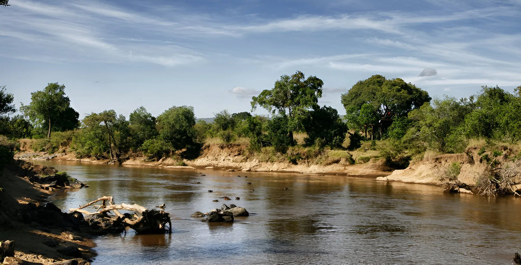 The Nest Treehouse, Mara North Conservancy, Kenya featured image.