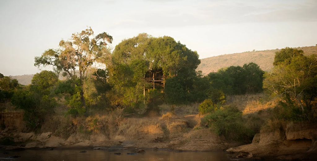 The Nest Treehouse, Mara North Conservancy, Kenya gallery image 2.