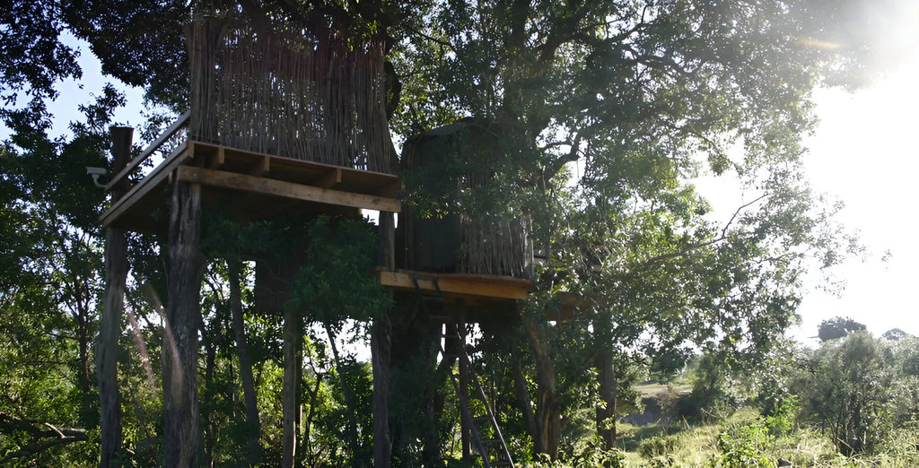 The Nest Treehouse, Mara North Conservancy, Kenya gallery image 3.