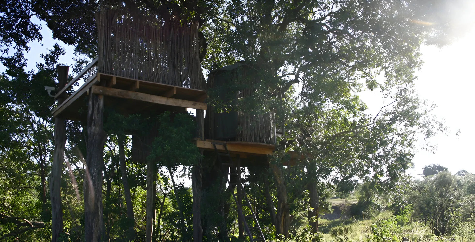 The Nest Treehouse, Mara North Conservancy, Kenya gallery image 3.