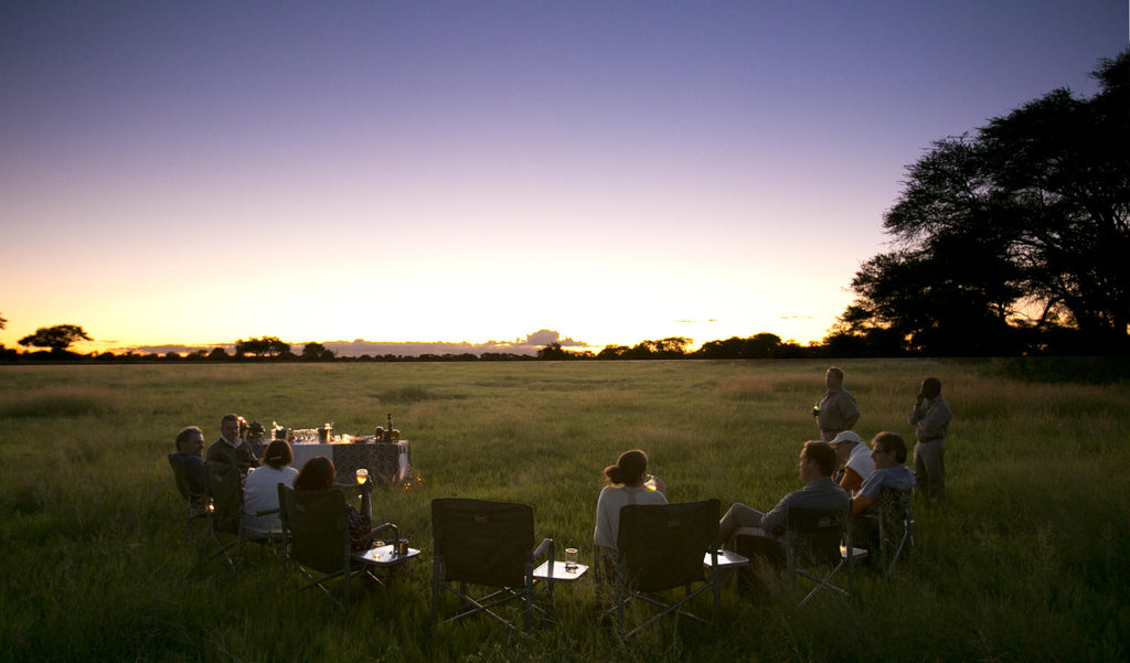 Day and Night Game Drives gallery image 8