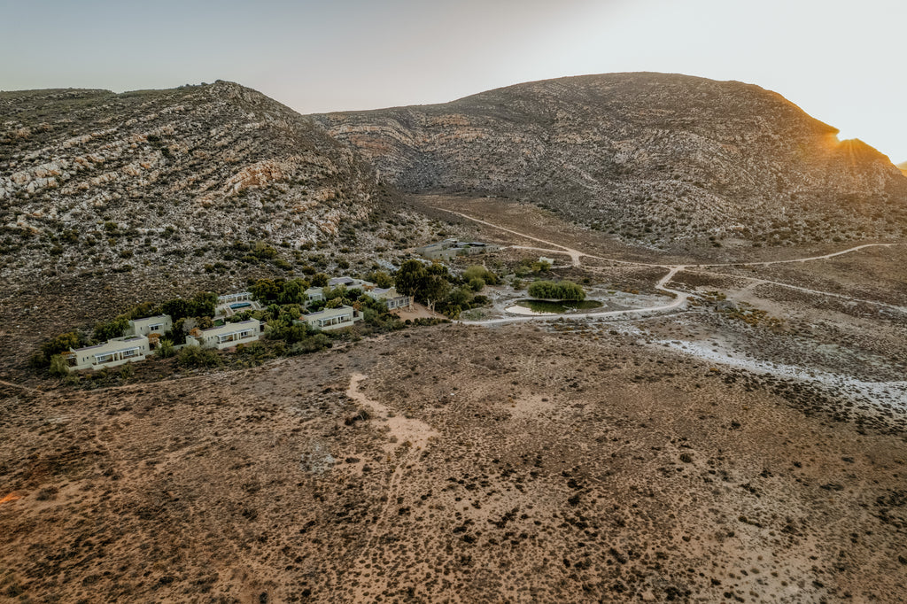 sanbona-wildlife-reserve-tilney-manor-route-62-south-africa