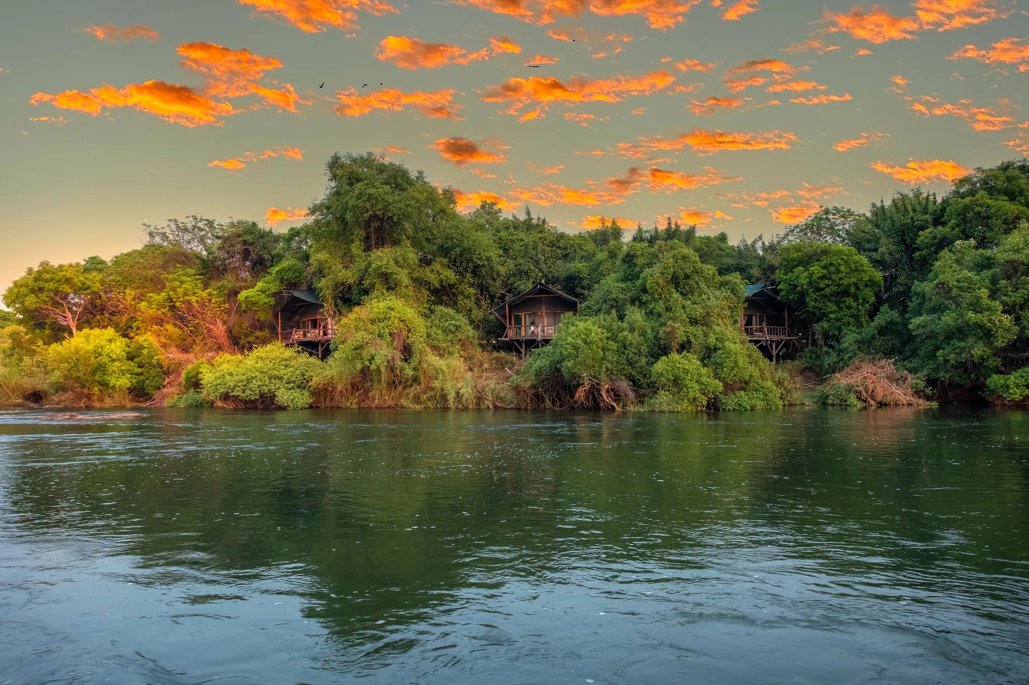 View from River at Tintswalo Siankaba, Victoria Falls (Zambia), Zambia.