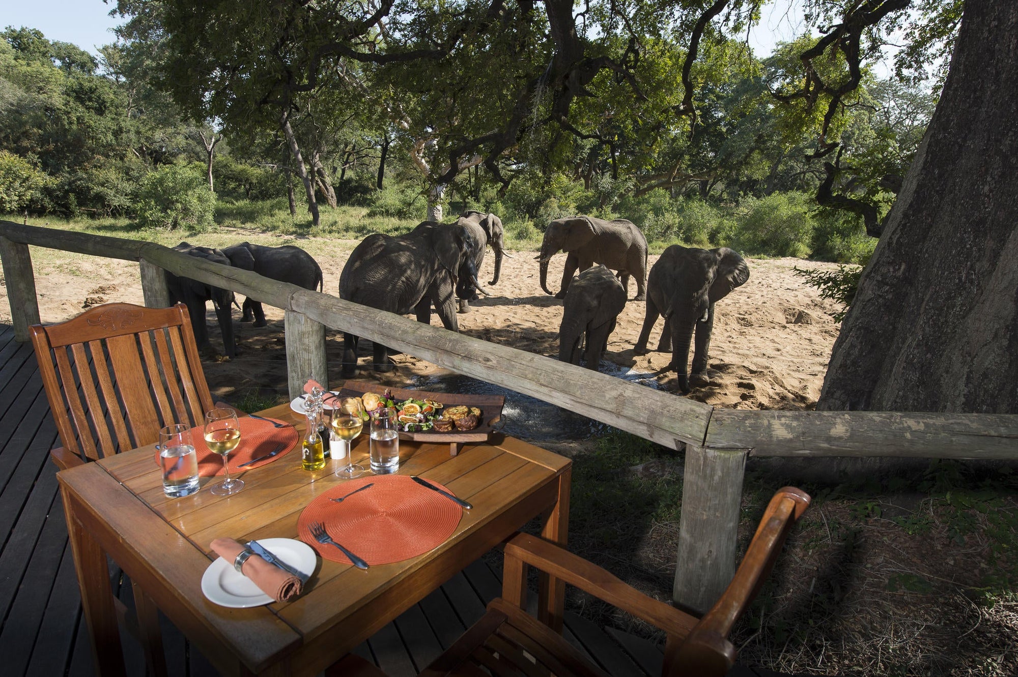 Tintswalo Safari Lodge Dining Room gallery image 6