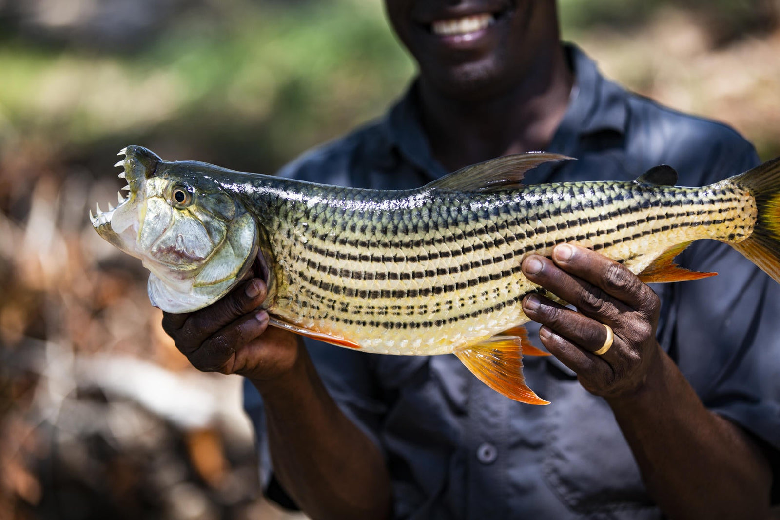 Wilderness Toka Leya – Fishing *