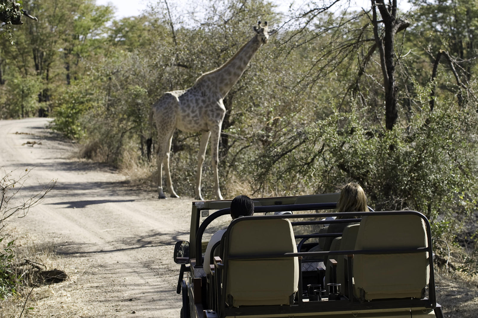 Wilderness Toka Leya – Game Drives