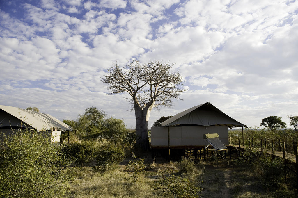 Family Accommodation  gallery image 9