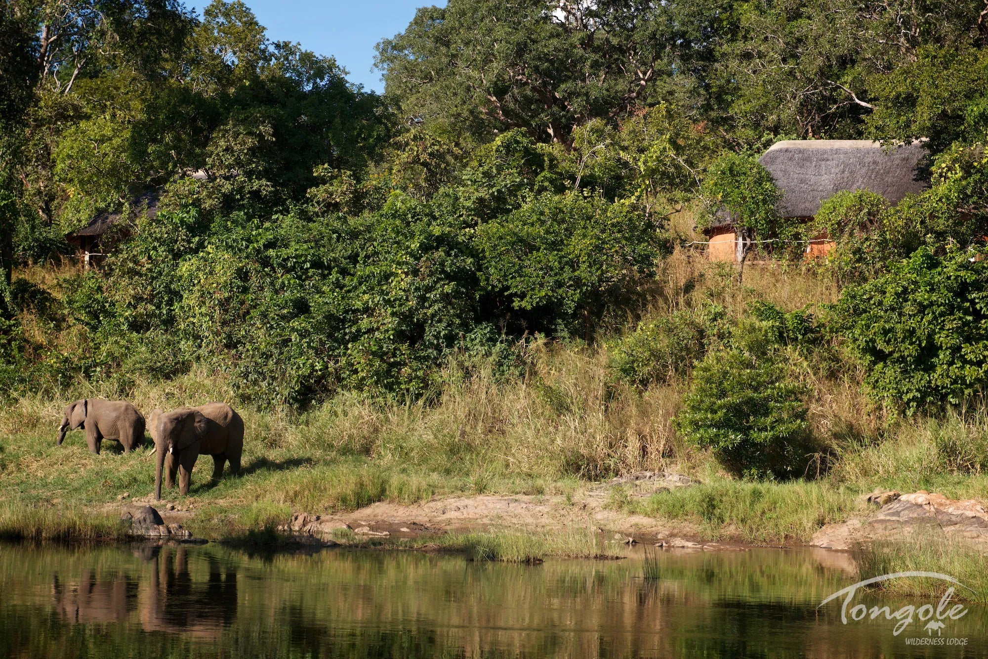 Bliss at Tongole Wilderness Lodge, Nkhotakota, Malawi.