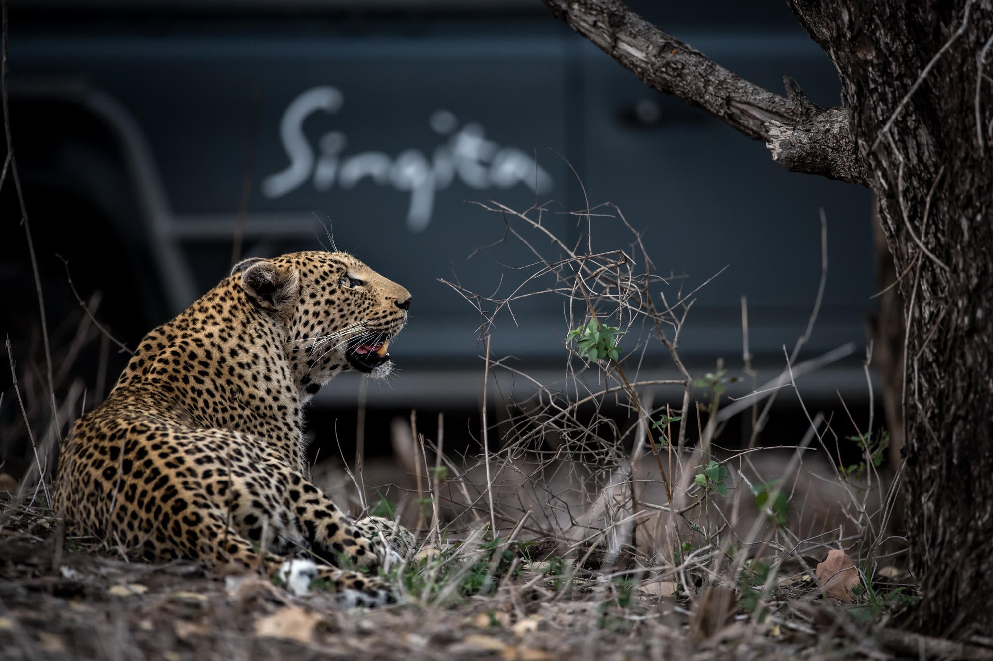 Game drives