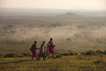 Walking Safari gallery image 1