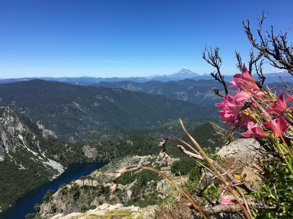 Trekking in Huerquehue National Park gallery image 2