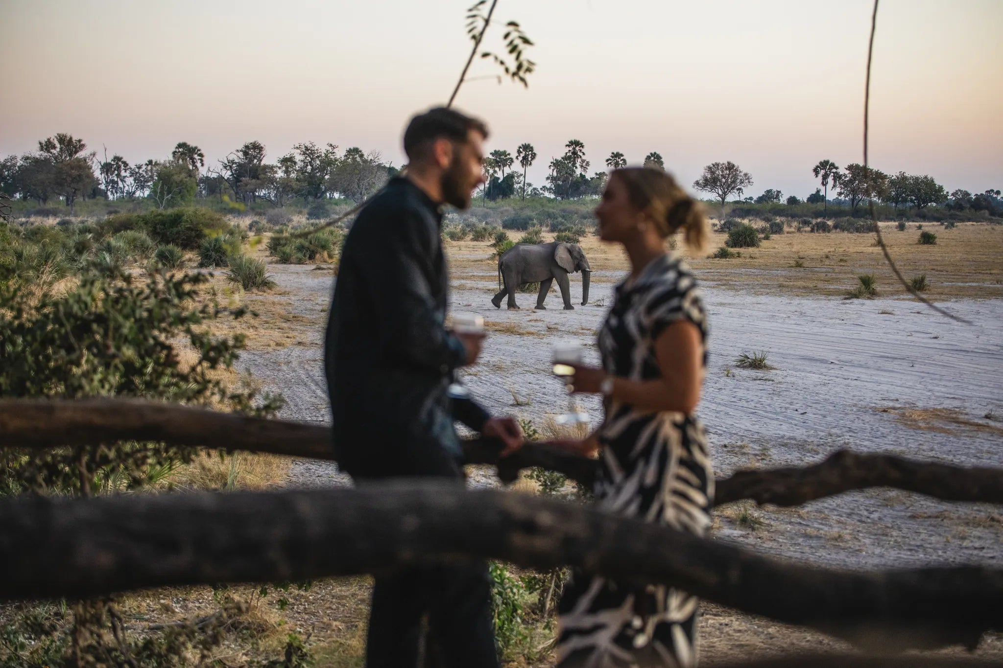 Wilderness Tubu Tree at Tubu Tree, Okavango Delta, Botswana.