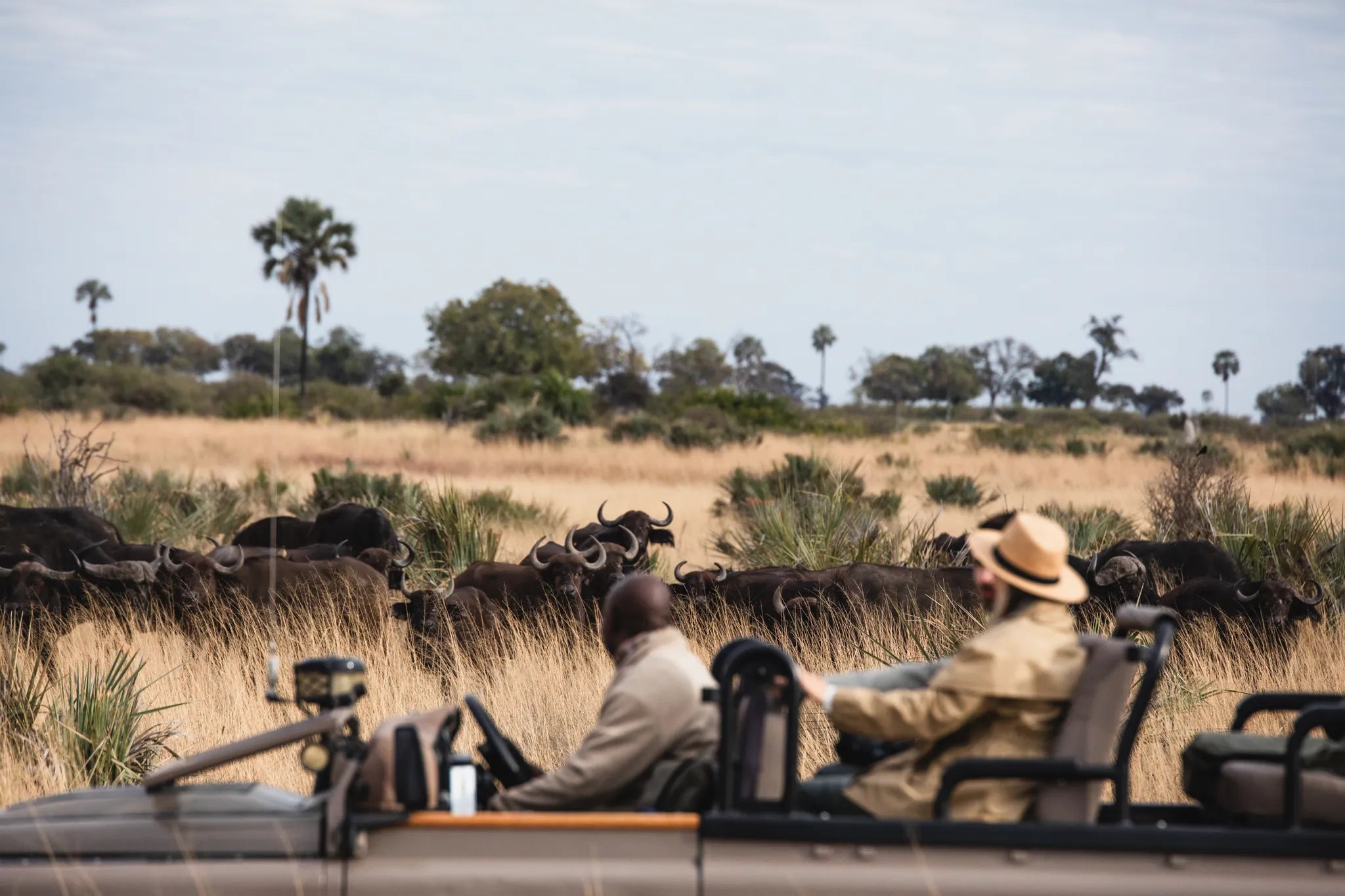 Wilderness Tubu Tree at Tubu Tree, Okavango Delta, Botswana.