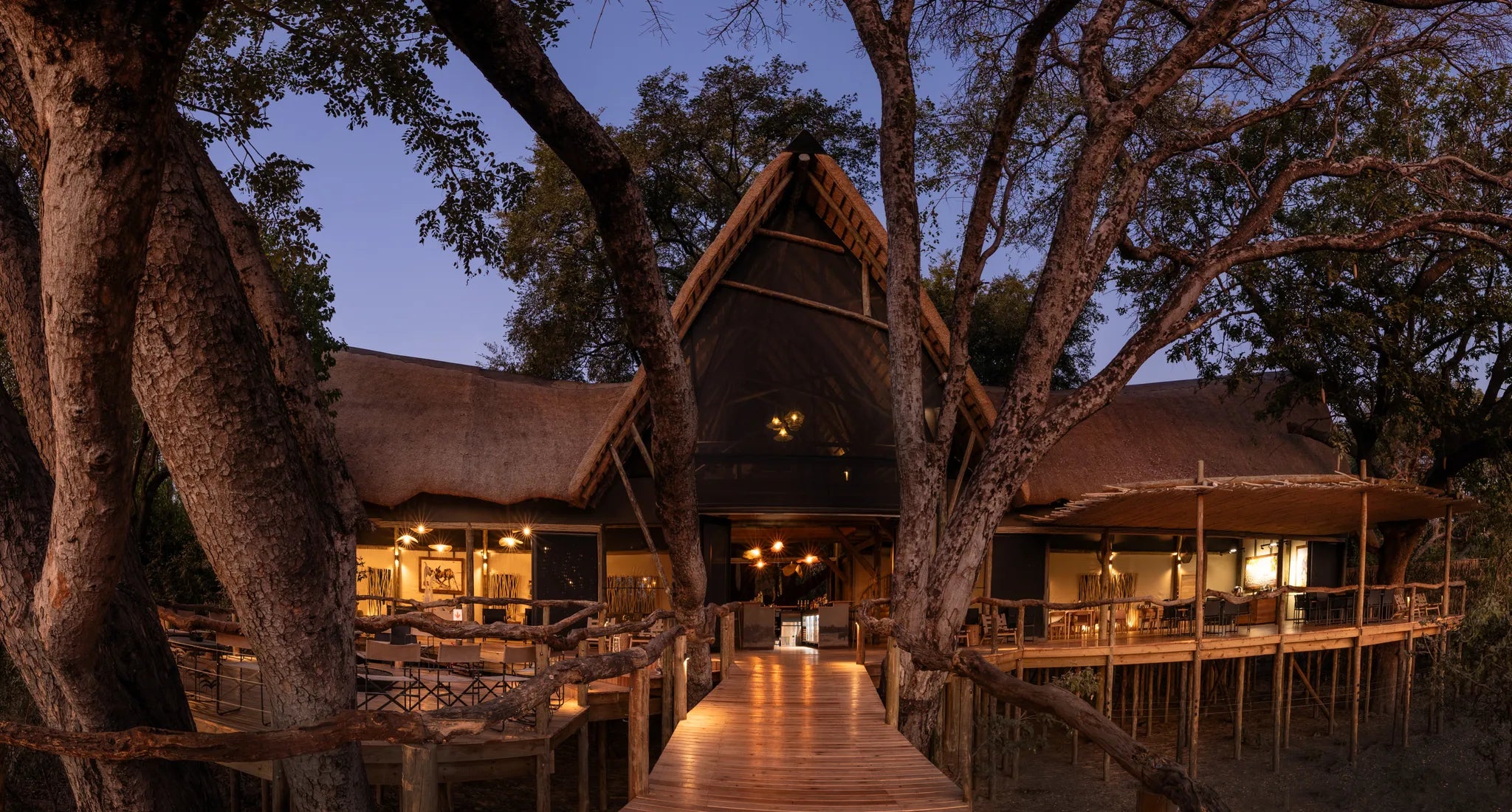 Wilderness Tubu Tree at Tubu Tree, Okavango Delta, Botswana.