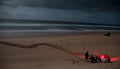 Turtle Nesting Adventure (additional cost) gallery image 1