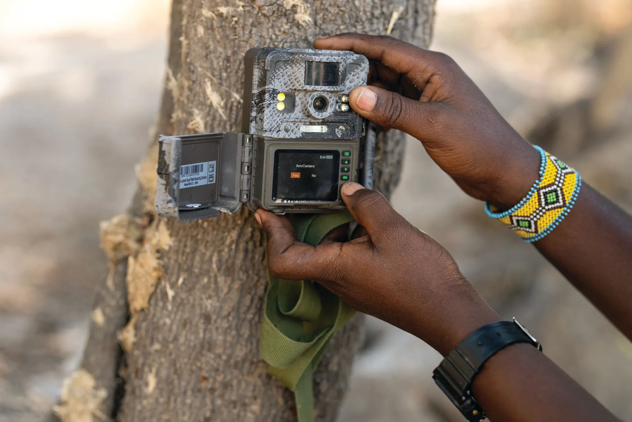 Usangu Expedition Camp - Setting Up the Camera Trap at Usangu Expedition Camp, Ruaha National Park, Tanzania.