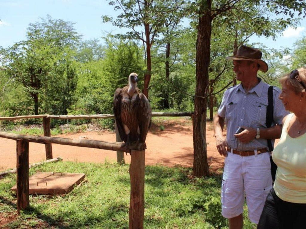 Visiting the Victoria Falls Wildlife Trust gallery image 1
