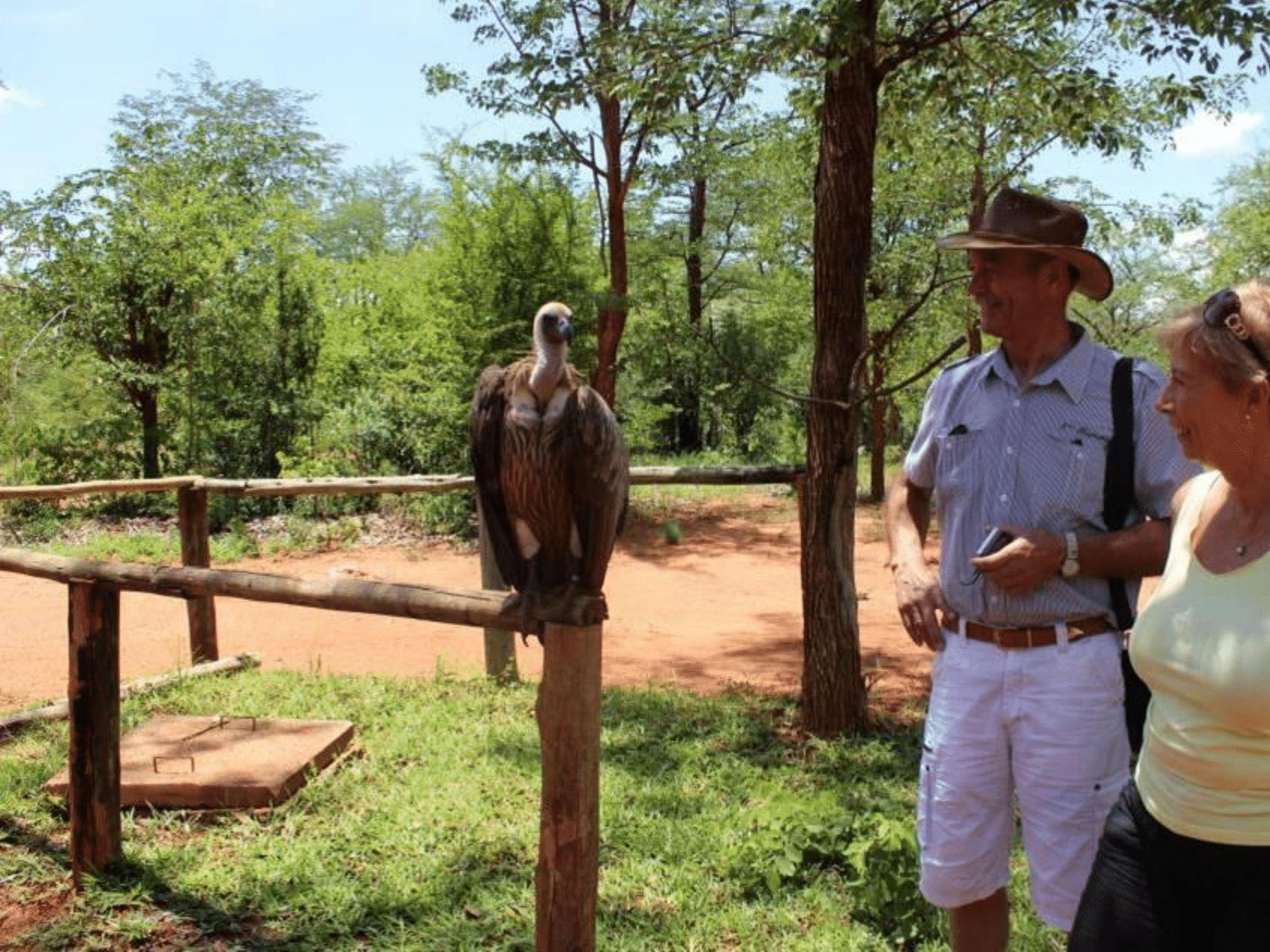 Visiting the Victoria Falls Wildlife Trust