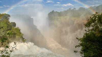 Guided Tour of the Falls