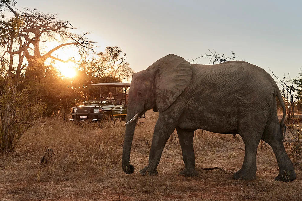 Room gallery image 12.