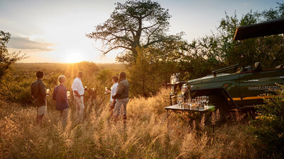 Morning and Afternoon Game Drives