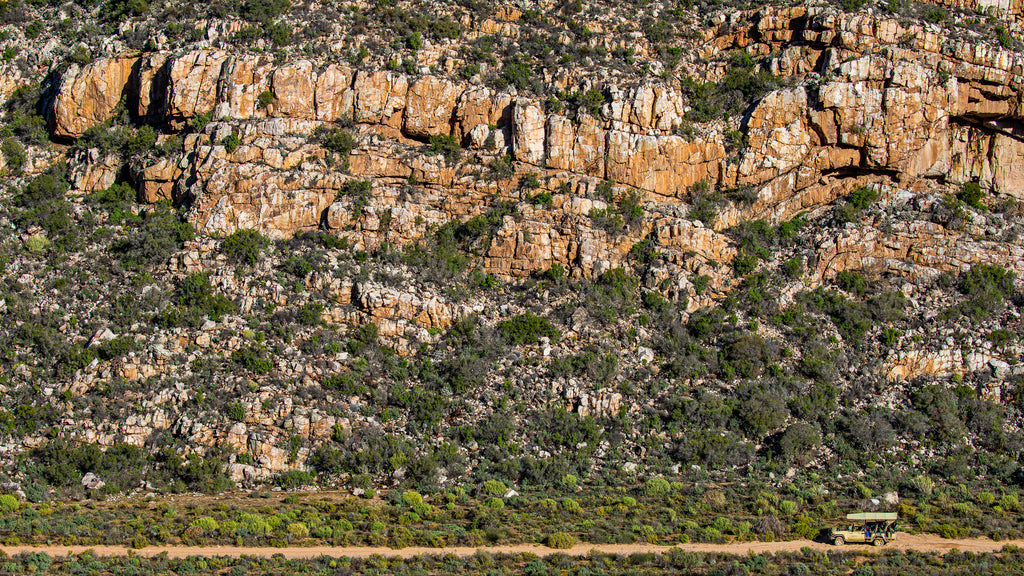sanbona-wildlife-reserve-tilney-manor-route-62-south-africa