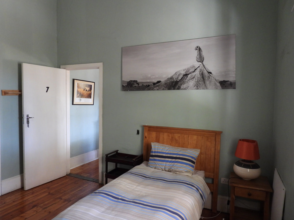 amakhala-volunteers-represented-by-safari-lodge