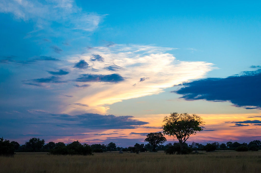 Wilderness Vumbura Plains – Night Drives gallery image 4