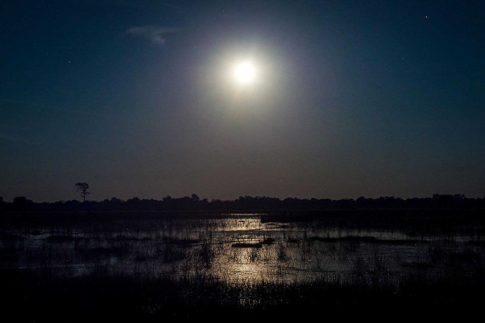 Wilderness Vumbura Plains – Night Drives